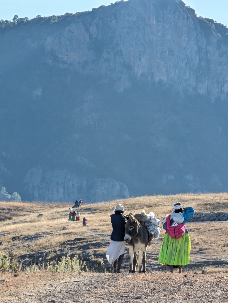 PXL_20231219_223526834 (Medium)